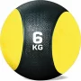 Medicine Weight Ball 6KG