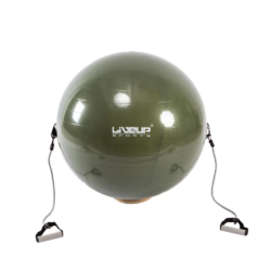 Gym Ball With Expander 65cm